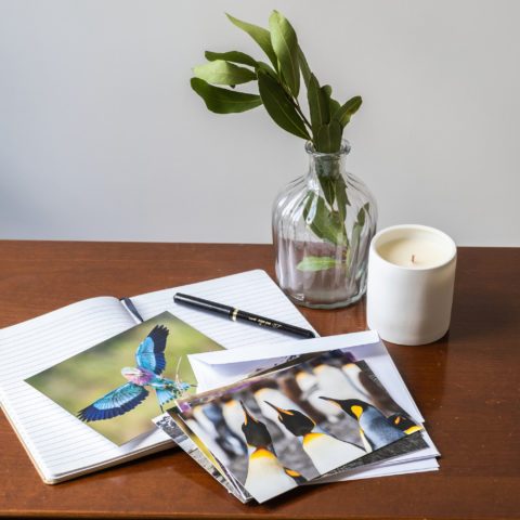 8 cartes de voeux "Monde naturel"