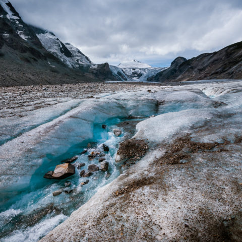 8 cartes de voeux "Terre vivante"