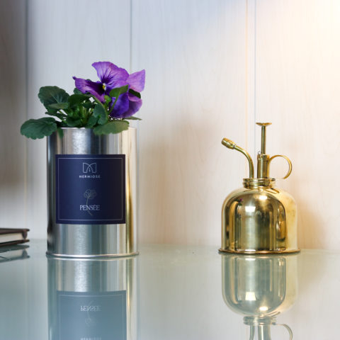 Une pensée a planter