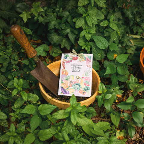 Calendrier à planter 2023