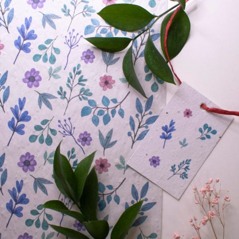 Lot de 3 feuilles de papier cadeaux ensemencées + 5 étiquettes