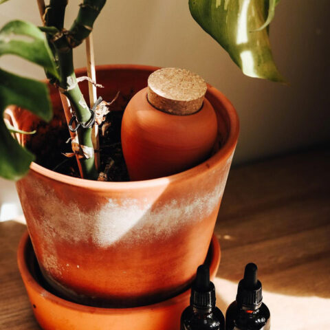 Olla - Diffuseur d'eau pour les plantes